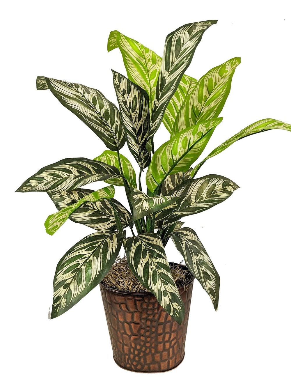 artificial prayer Decor Green Variegated Potted Plant 🪴embossed metallic pot
